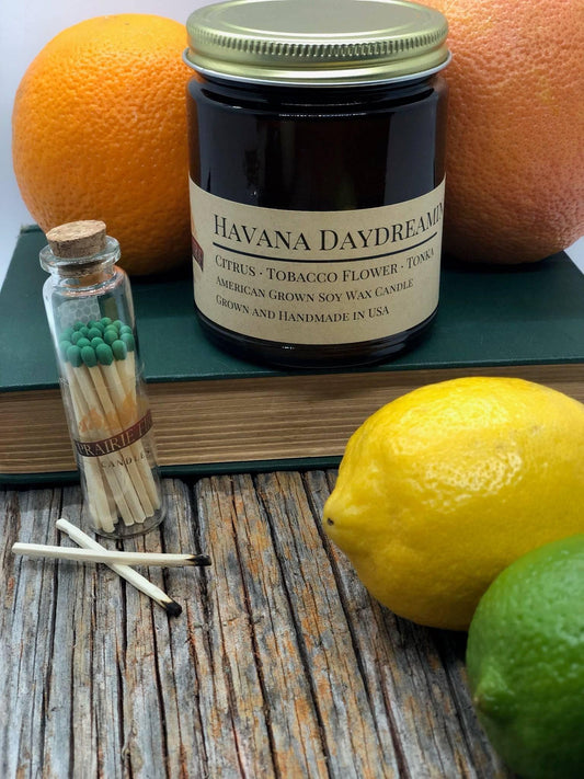 Havana Daydreamin soy wax candle in amber jar with citrus fruits, books, and glass vial of matches