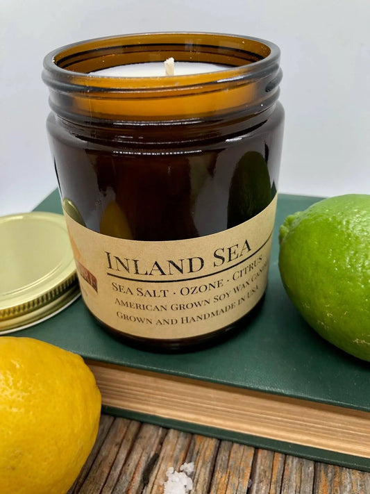 Amber jar soy wax candle labeled Inland Sea with lemons, lime, and sea salt on a book