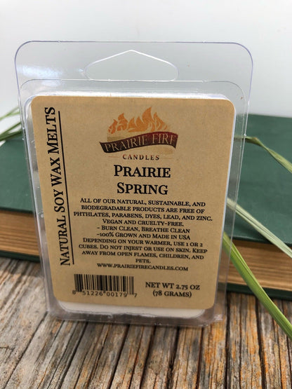 Soy Wax Melts | Wax Cubes | Wickless Candles | Small Batch | Vegan - Prairie Fire Candles