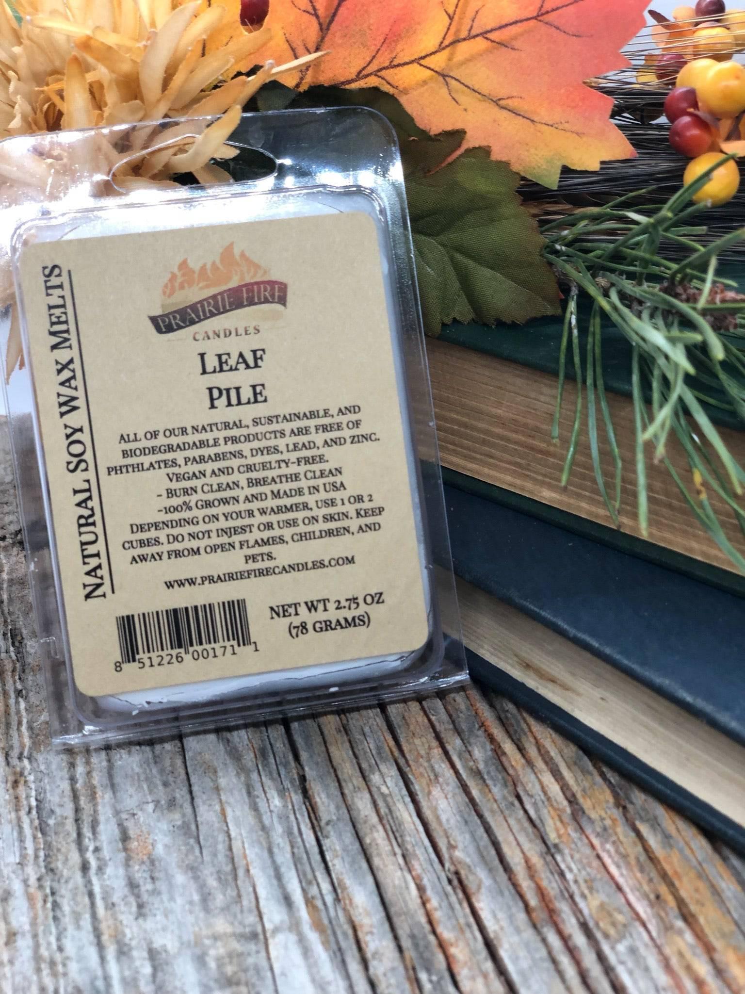 Soy Wax Melts | Wax Cubes | Wickless Candles | Small Batch | Vegan - Prairie Fire Candles