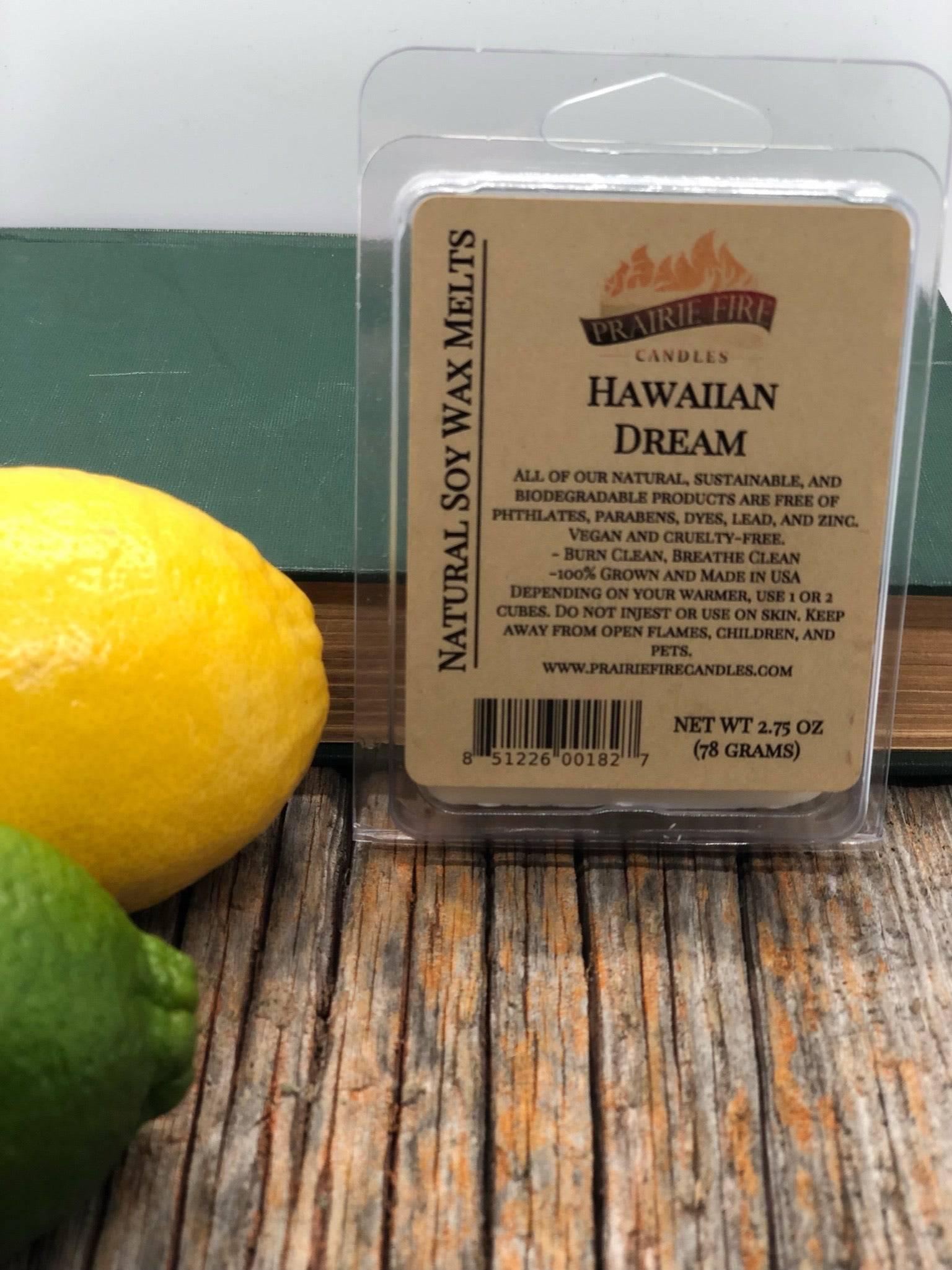 Soy Wax Melts | Wax Cubes | Wickless Candles | Small Batch | Vegan - Prairie Fire Candles