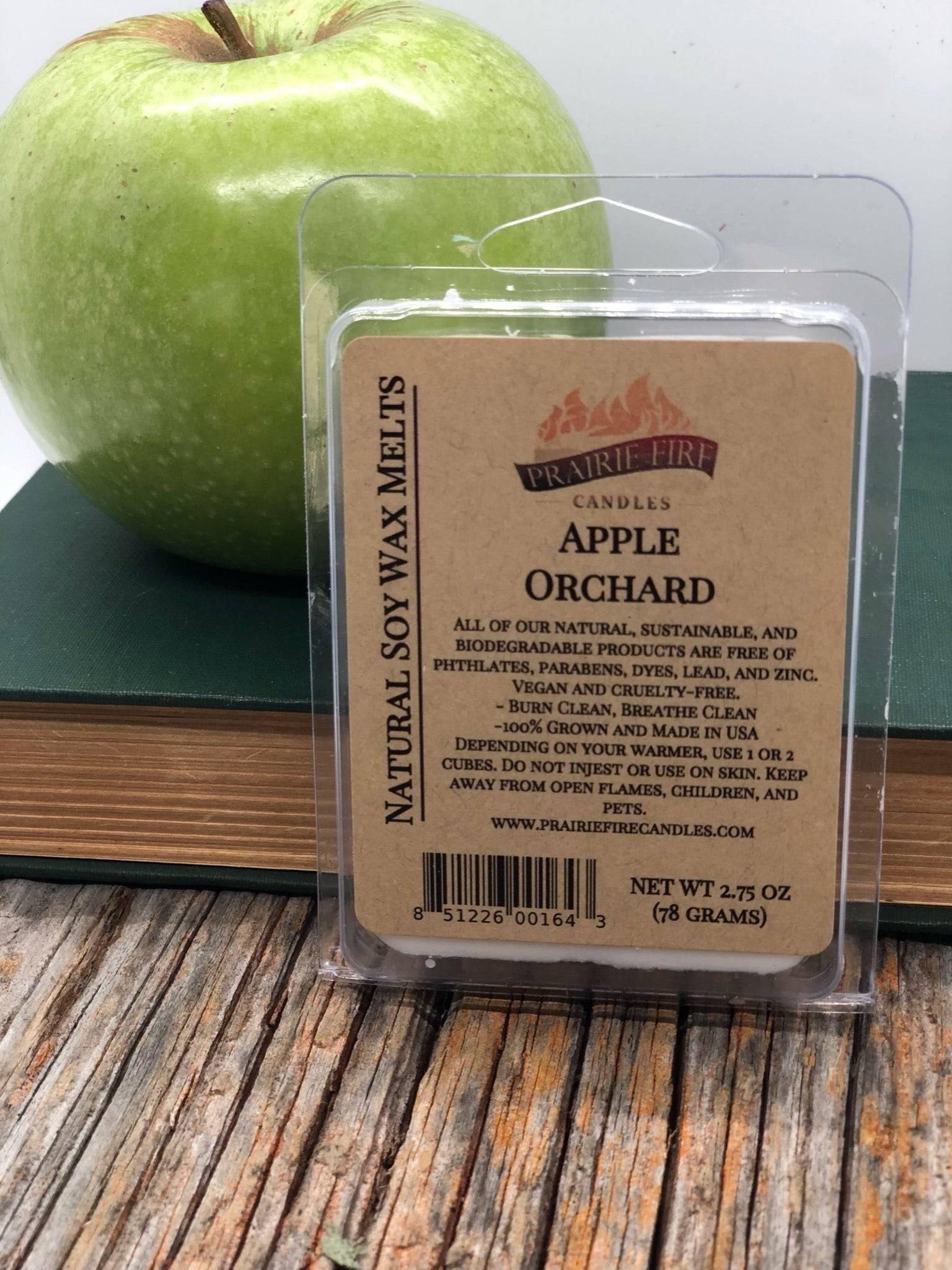 Soy Wax Melts | Wax Cubes | Wickless Candles | Small Batch | Vegan - Prairie Fire Candles