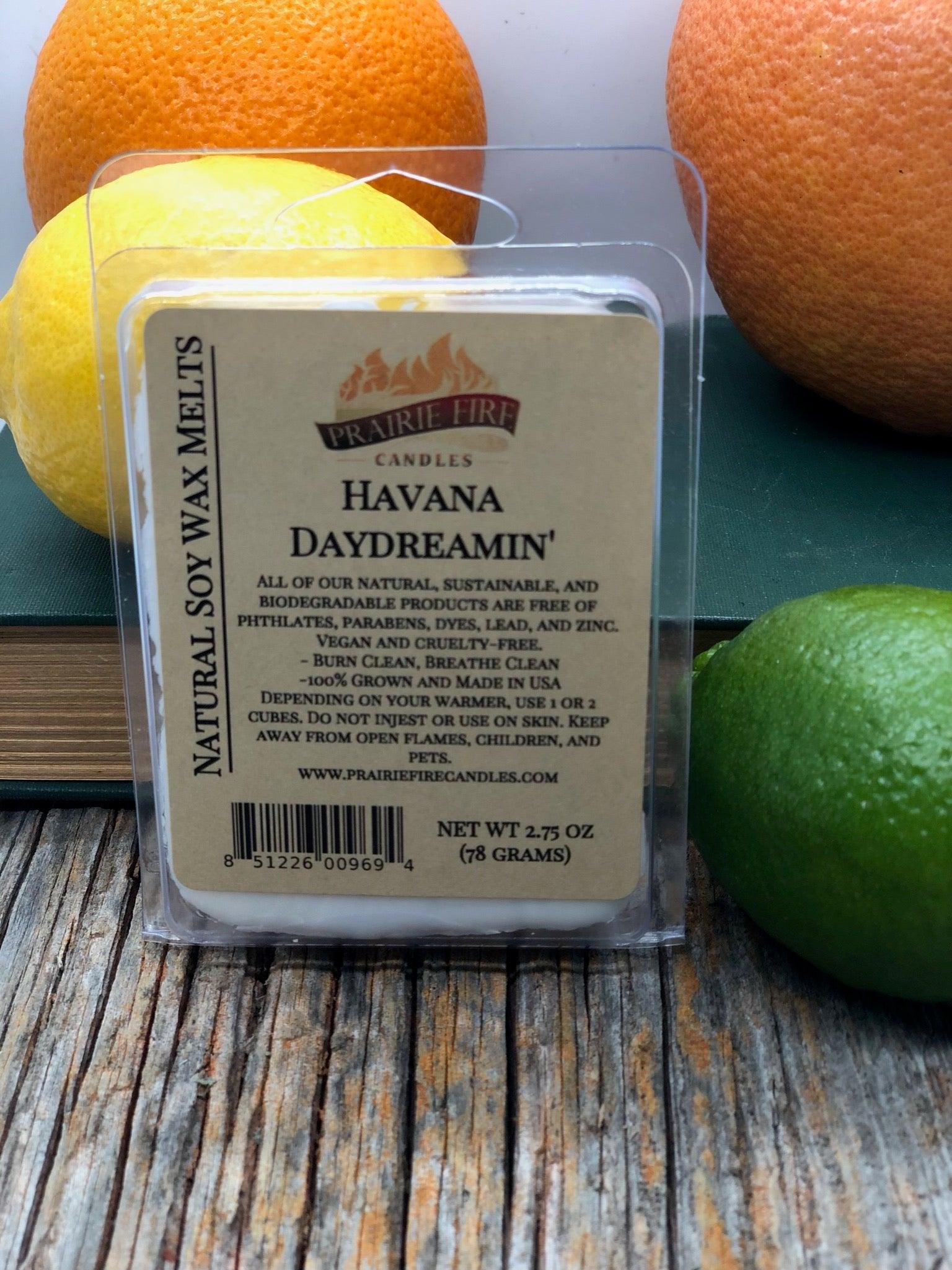Soy Wax Melts | Wax Cubes | Wickless Candles | Small Batch | Vegan - Prairie Fire Candles