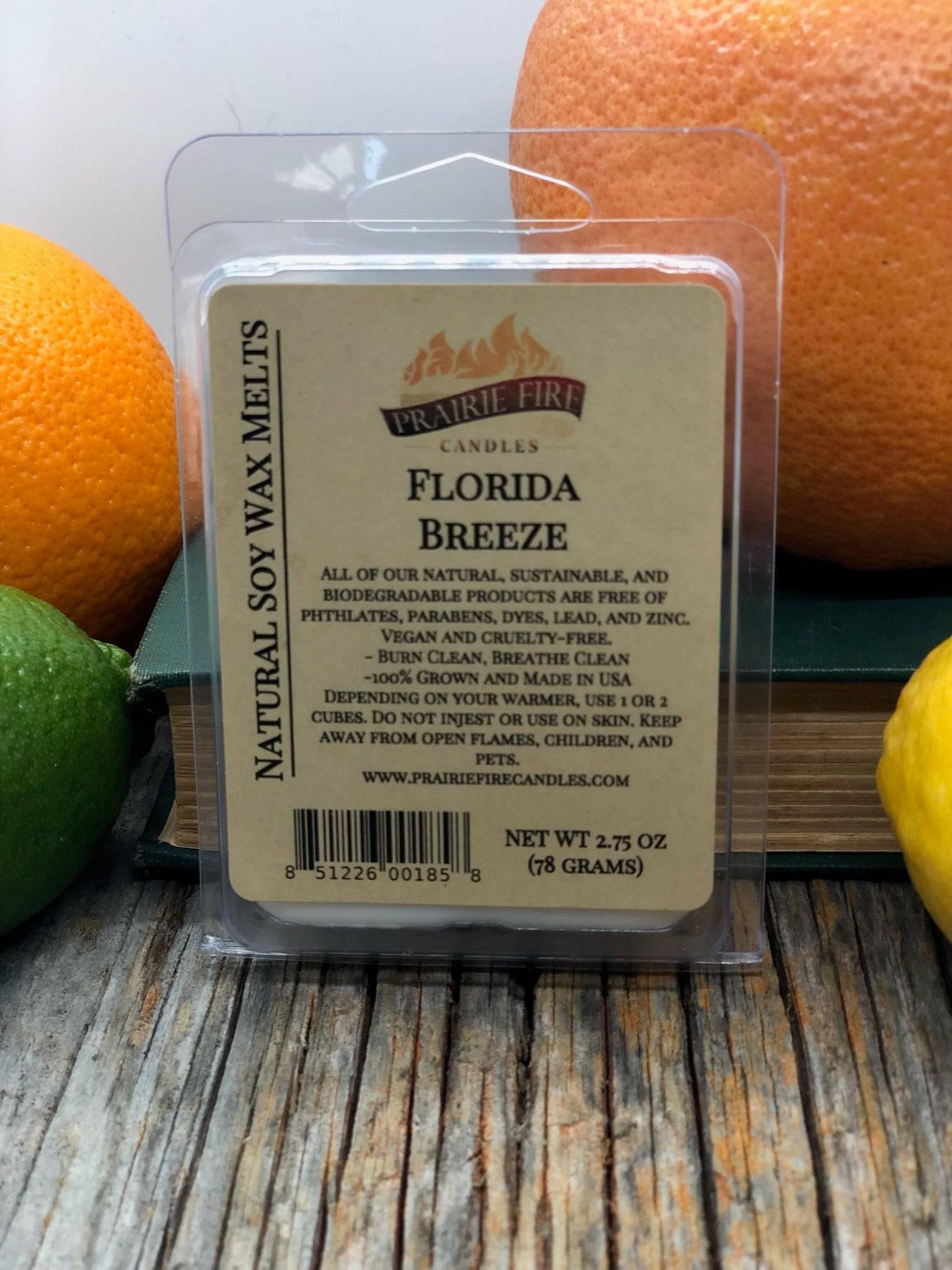 Soy Wax Melts | Wax Cubes | Wickless Candles | Small Batch | Vegan - Prairie Fire Candles