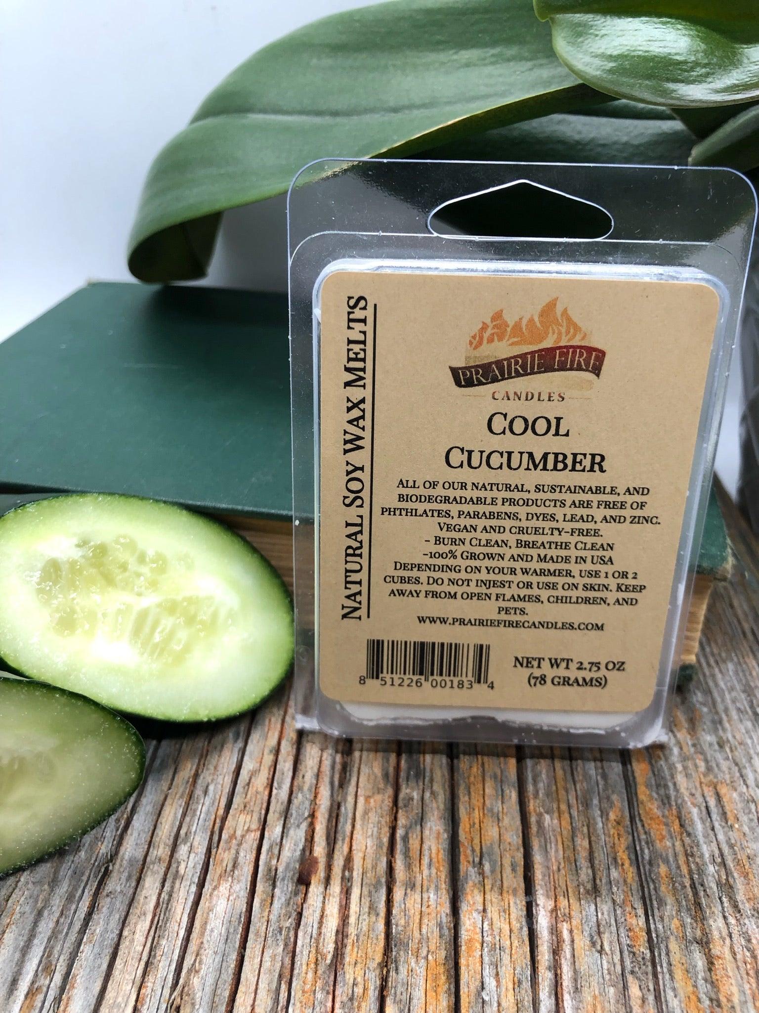 Soy Wax Melts | Wax Cubes | Wickless Candles | Small Batch | Vegan - Prairie Fire Candles